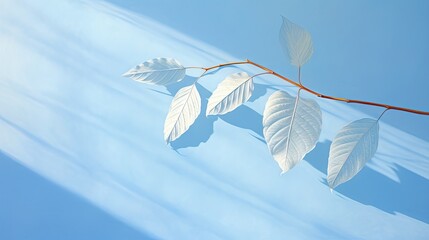  a branch with white leaves on it against a blue sky with a thin thin strip of clouds in the background and a thin branch with white leaves in the foreground.  generative ai