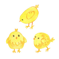 Set of watercolor illustrations of farm animals. Cartoon drawings funny chicks