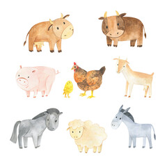 Set of watercolor illustrations of farm animals. Cartoon drawings of funny hen and chick, cow and bull, piglet, kid, horse, sheep, donkey