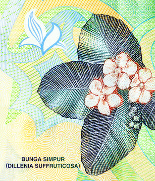 National Flower of Brunei - Simpor Bini (Dillenia suffruticosa) on Brunei Darussalam 1 dollar banknote