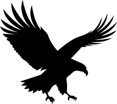 phoenix bird icon vector illustration isolated on white background