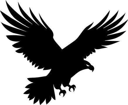 Bald eagle head, black and white isolated on white background, mascot, design element for business, shirt, t shirt, logo, label, emblem, tatoo, sign, poster, Vintage, emblems, Vector illustration