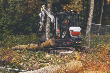 Tree cut down by arborist and moved close to wood chipper to be cut into chunks with petrol...
