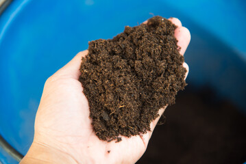 Closeup to peat moss in the hand  