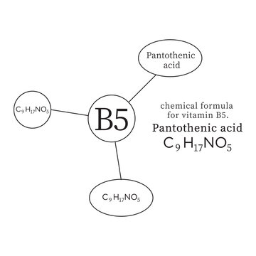 symbols and chemical formulas for vitamin B5.