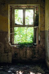 Fototapeta na wymiar Vertical shot of a broken window in an abandoned building