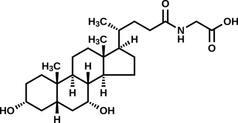Glycochenodeoxycholic acid structural formula, vector illustration