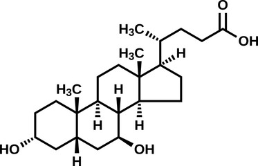 Ursodeoxycholic acid structural formula, vector illustration