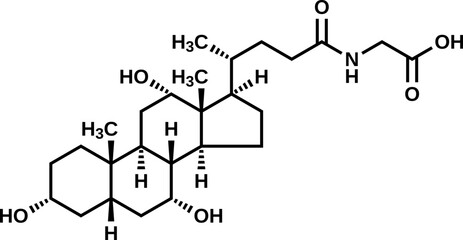 Glycocholic acid structural formula, vector illustration