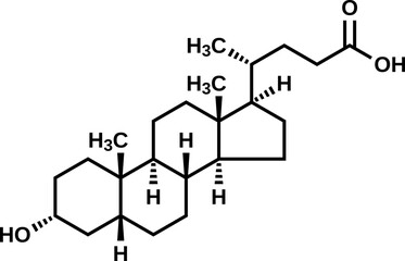 Lithocholic acid structural formula, vector illustration