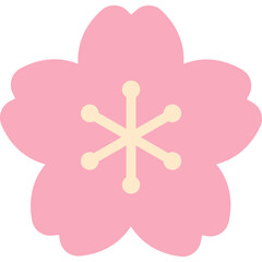 sakura flower © Paola