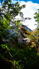 Fototapeta premium Rock on a slope on mountain in forest