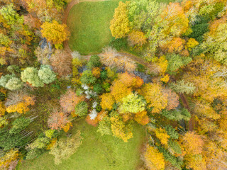 Aerial view of forest in autumn. Copy space on green meadow.