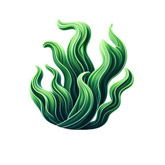 Seaweed isolated on transparent background