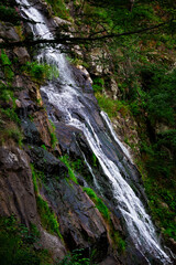 Obraz premium Waterfall in Schwarzwald 