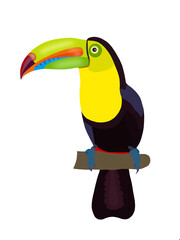 Naklejka premium toucan bird cartoon