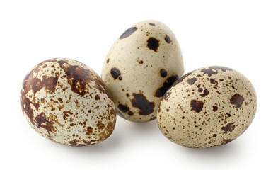 Group of three fresh quail perpaline eggs on white background