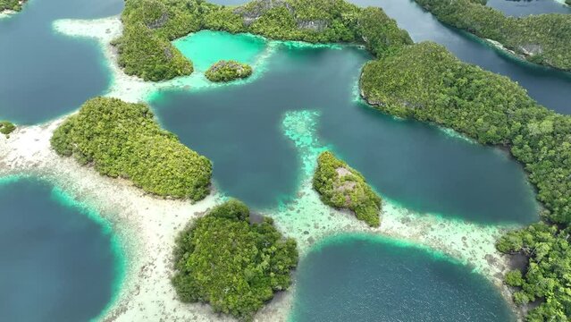 The incredibly scenic islands of Pef are fringed by mangrove trees and surrounded by beautiful coral reefs. These islands, found in northern Raja Ampat, support an amazing array of biodiversity.