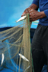 hand picking fish from fishing net