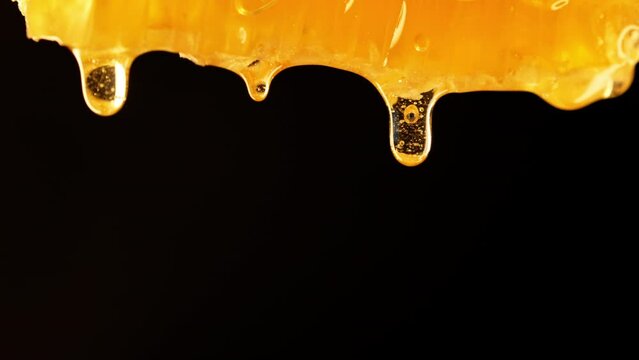 Honey drips from honeycombs in mesmerizing macro: golden elixir close-up footage