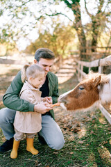 Smiling dad holding hand of little girl feeding pony through fence in park