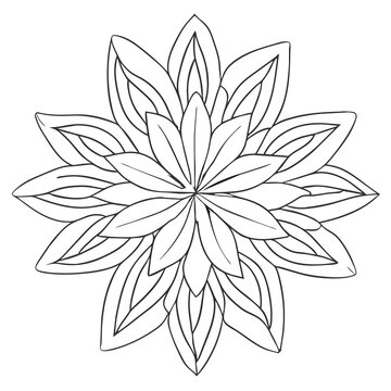 illustration of a flower