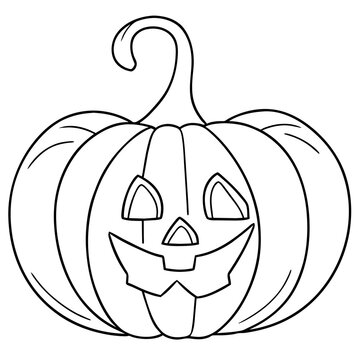 pumpkin on white