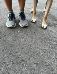 legs and feet of woman in running shoes standing next to dog paws and legs side-by-side ready to...