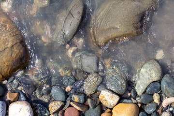 the sandy bottom of the river on the shallows are small pebbles and drifts of wood branches, small...