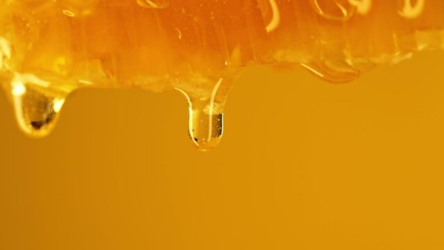 Honey dripping from honeycombs extreme macro.Natural bees wax cells, gold elixir