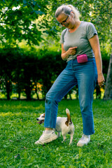 a small active dog of a breed like a russell terrier works with a dog handler in the park executes...