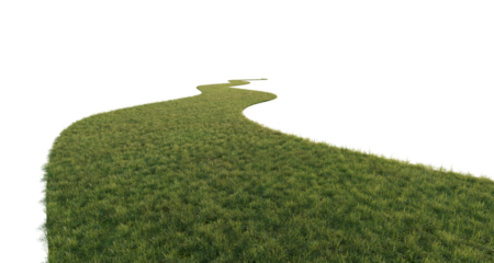Grass path isolated on transparent background. 3D rendering.