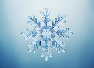 snowflakes isolated on a blue background