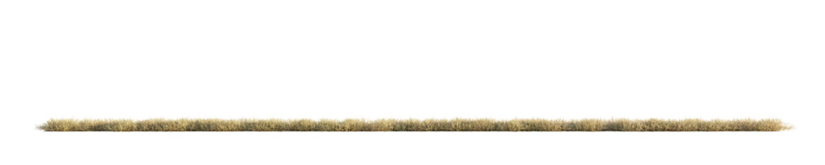 Dry grass - panorama. Transparent background. 3D rendering.