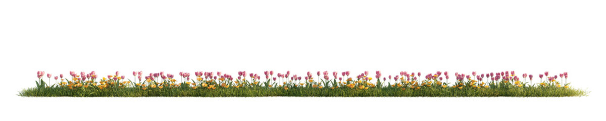Panorama of grass with tulips. 3D rendering.