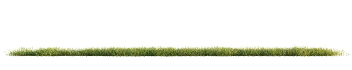 Green grass isolated on transparent background. 3D render.