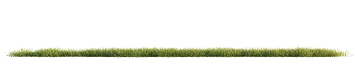 Crédence de cuisine en verre imprimé Green grass isolated on transparent background. 3D render.