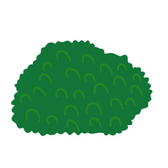 Nature hedge, Garden green bushes. Cartoon shrub and bush vector