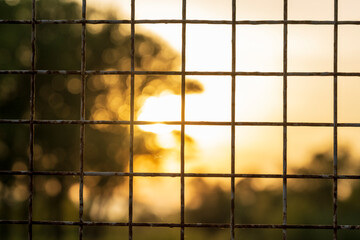A view through the bars of the sunset and the sunlight falling on the forest and water. Concept of prison and prison cell. The view from the prison cell. The concept of freedom. - obrazy, fototapety, plakaty