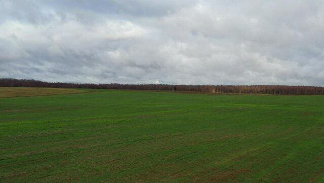 Drone view from a green field to a dry forest