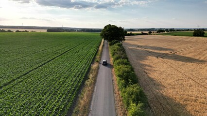 Fototapeta na wymiar Aerial shot of a car passing along cultivated agricultural lands on a summer day