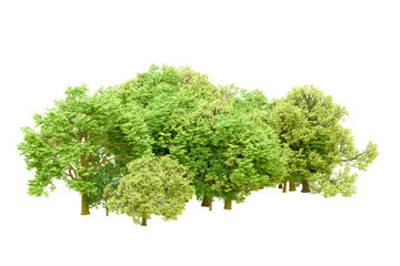 Fototapeta premium Green forest isolated on transparent background. 3d rendering - illustration