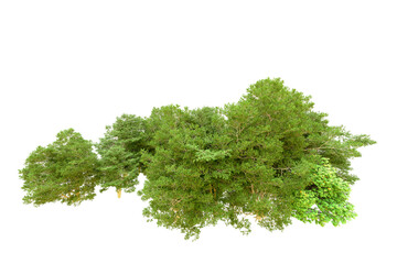 Obraz premium Green forest isolated on transparent background. 3d rendering - illustration