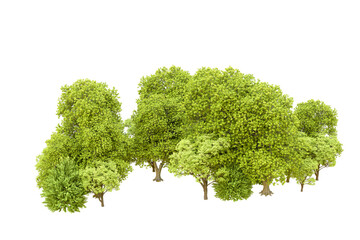 Fototapeta premium Green forest isolated on transparent background. 3d rendering - illustration