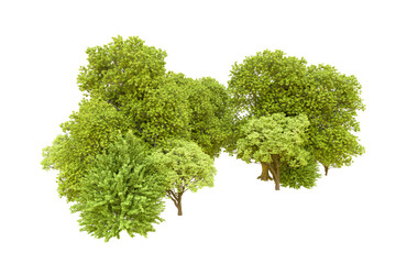 Obraz premium Green forest isolated on transparent background. 3d rendering - illustration