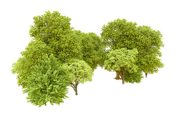 Obraz premium Green forest isolated on transparent background. 3d rendering - illustration