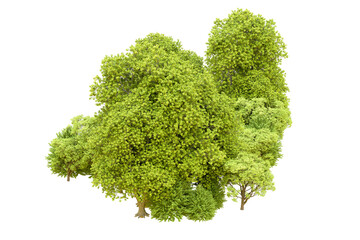 Obraz premium Green forest isolated on transparent background. 3d rendering - illustration