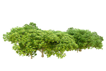 Obraz premium Green forest isolated on transparent background. 3d rendering - illustration