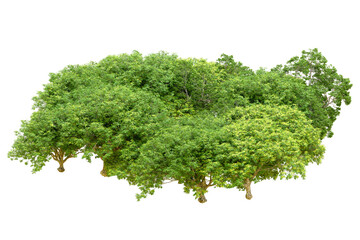 Obraz premium Green forest isolated on transparent background. 3d rendering - illustration