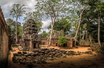 Ancient Ta Prohm Temple, Angkor Thom, Siem Reap, Cambodia.